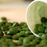 Chlorella