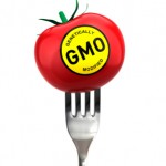 GMO foods