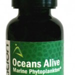 oceansalive-marine-phytoplankton