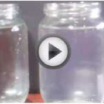 AdyaClarity-SouthAmericaWater-BeforeAndAfter