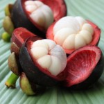 herbal arthritis remedy