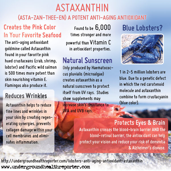 Astaxanthin Benefits Infographic