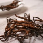 benefits of cordyceps