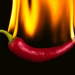 capsaicin supplement