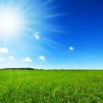 vitamin d and cancer