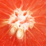 grapefruit seed extract benefits