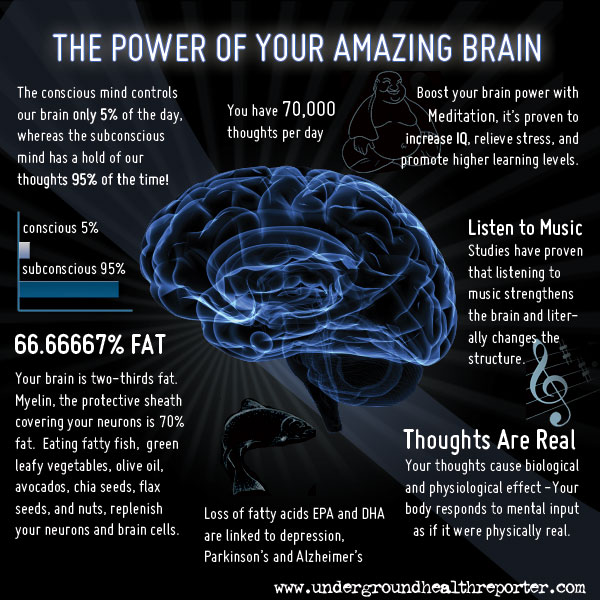 The Power of Your Amazing Brain