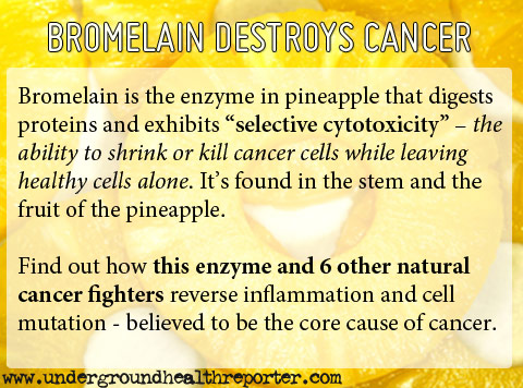 Bromelain Destroys Cancer