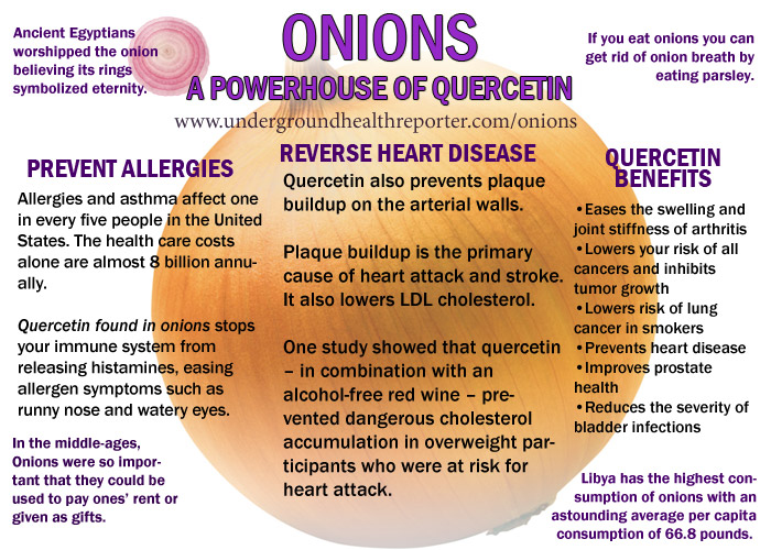 health-benefits-of-onions-infographic