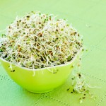 alfalfa benefits