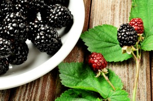 black raspberries and cancer