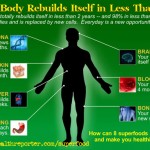 Mega Nutrition Organic Superfood Infographic