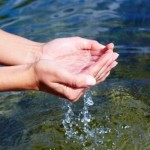 Can Marine Phytoplankton Heal Disease?