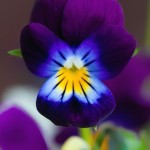 how to calm your mind