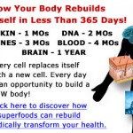 banner-300-250-body-rebuilds