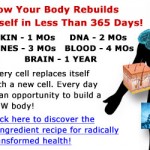 banner-300-250-body-rebuilds-v2