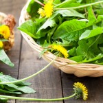 Dandelion for Heartburn