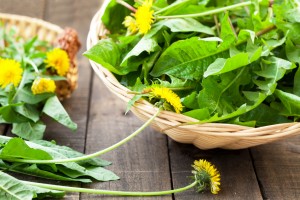 organic salad for healthy life