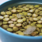Green and Brown Lentils Soaking in a Bowl