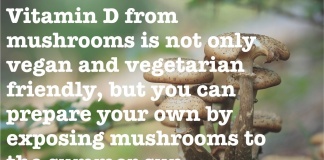 Paul Stamets quote about vitamin D from mushrooms