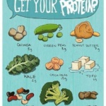 infographic-wheredoyougetyourprotein