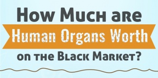 how much are human organs worth on the black market?