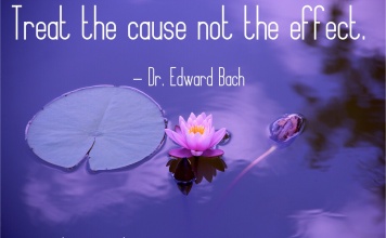 Dr. Edward Bock Quote