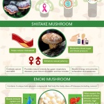 infographic-final-medicinalmushrooms-highquality