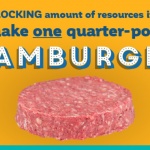 infographic-final-resourcesonehamburger-lowresolution_facebook