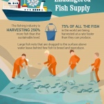 infographic-final-runoutoff