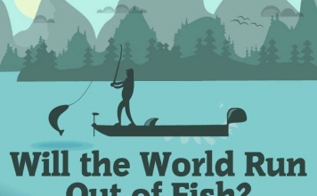 Will the world run out of fish thumbnail