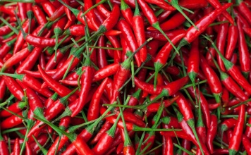 red chili peppers