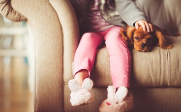 The Man in Charge of Picking the Next Head of the USDA Defends Puppy Mills puppy snuggling with his girl on a couch