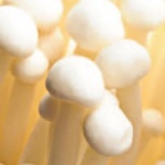 Enoki mushrooms