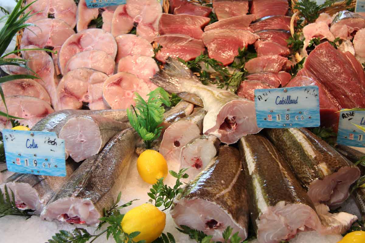 assorted cuts of fish displayed at a fish market