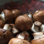 mushrooms strainer