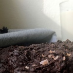 cookies-milk_facebook