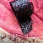 fruit-roll-up_medium