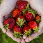 holding-strawberries_facebo