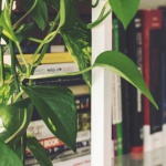 house-plant_facebook