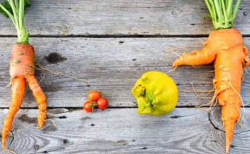 Saving Ugly Produce: How the Fruits and Vegetables We Throw Away Could Feed the World funny shaped vegetables