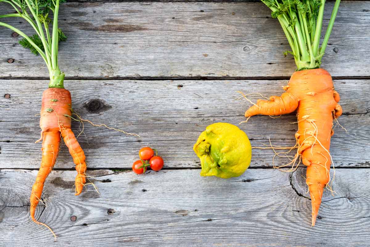 ugly carrots and other vegetables