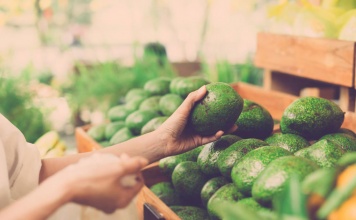 Why Portia Di Rossi and Ellen DeGeneres Embraced a Plant-Based Lifestyle