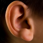 Ear
