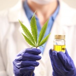 88555294 – woman doctor holding a cannabis leaf and oil.alternative medicine