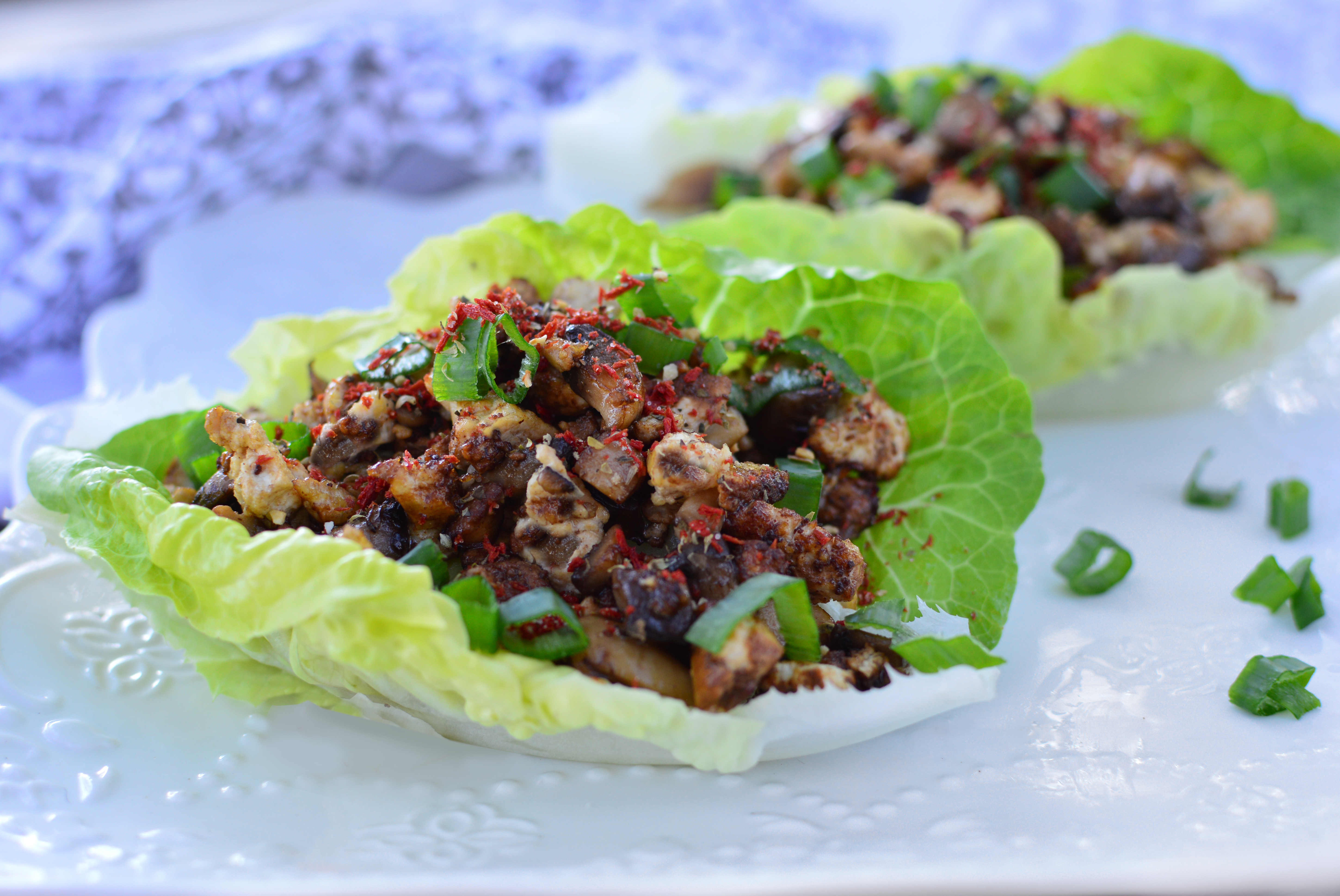 LettuceWraps-Vegetarian-Horizontal-best