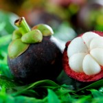 mangosteen benefits