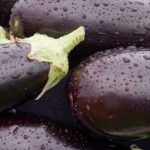 eggplant extract