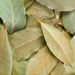 bay leaf uses