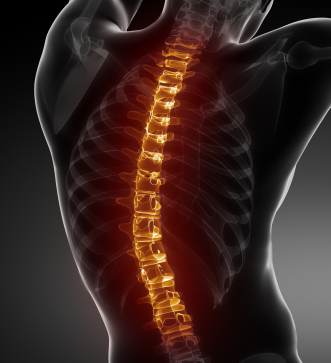 spinal cord injury